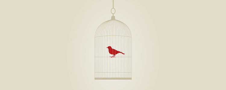 文化适配的ddos攻击测试工具