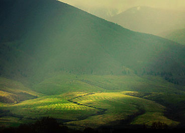 DDOS压力测试网页端